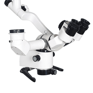 صورة الفئة: {{name}}