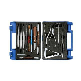 Category image: {{name}}