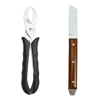 Category image: {{name}}