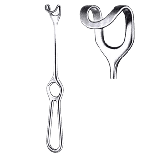 Category image: {{name}}