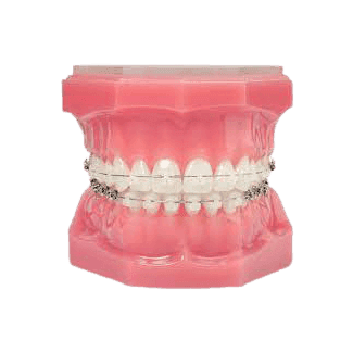 Category image: {{name}}