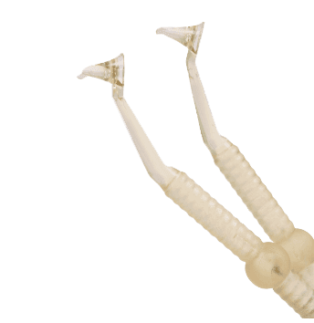 Category image: {{name}}