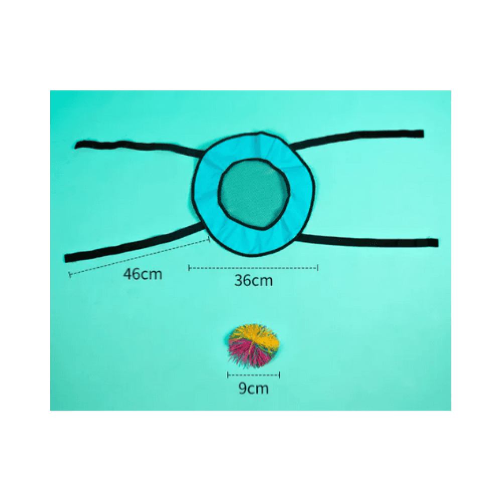 Interactive Ball Toss Game