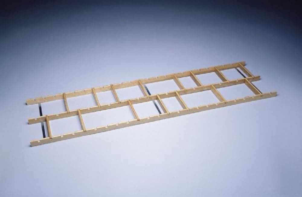 Agility Ladder, Foot Placement