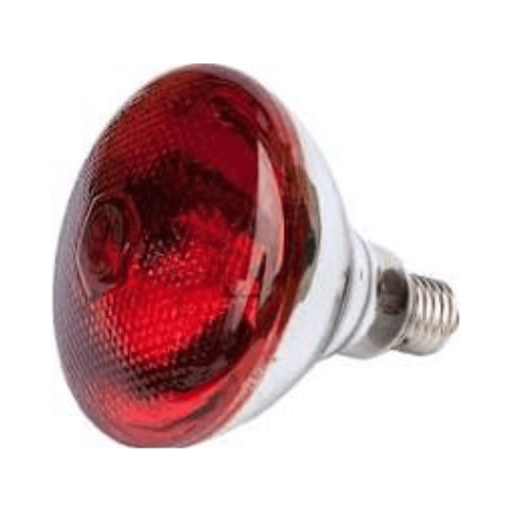 Infrared Heat Lamp, 250W