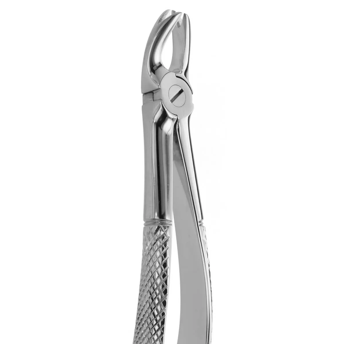 Tooth Forceps Trotter N.166