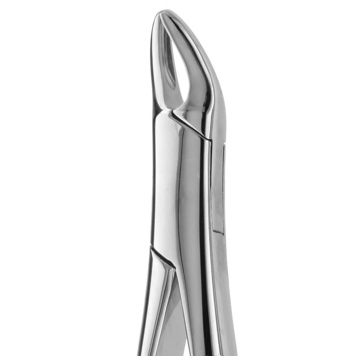 Tooth Forceps American Pediatric N.150