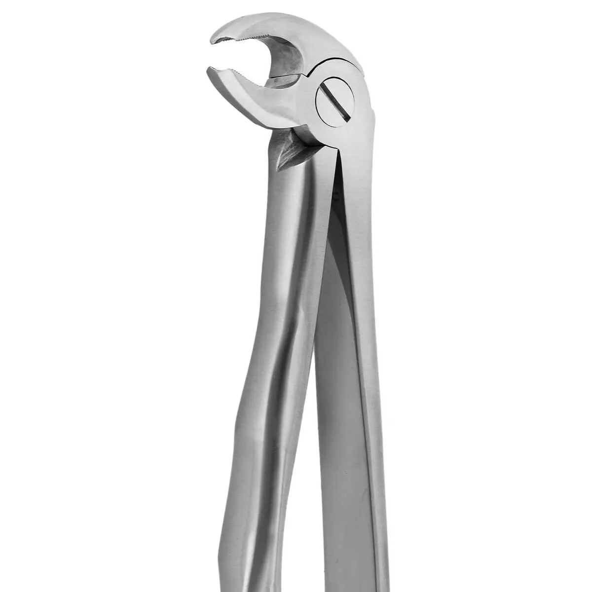Tooth Forceps Blade Beaks N.22