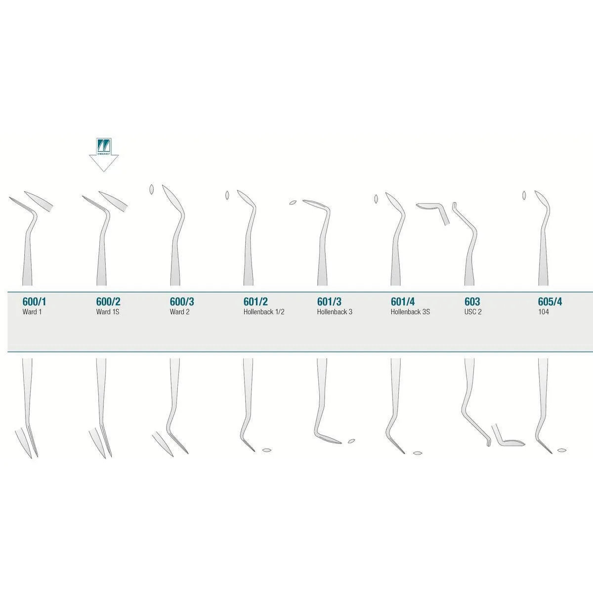 Amalgam/Composite Carver Ward 1S