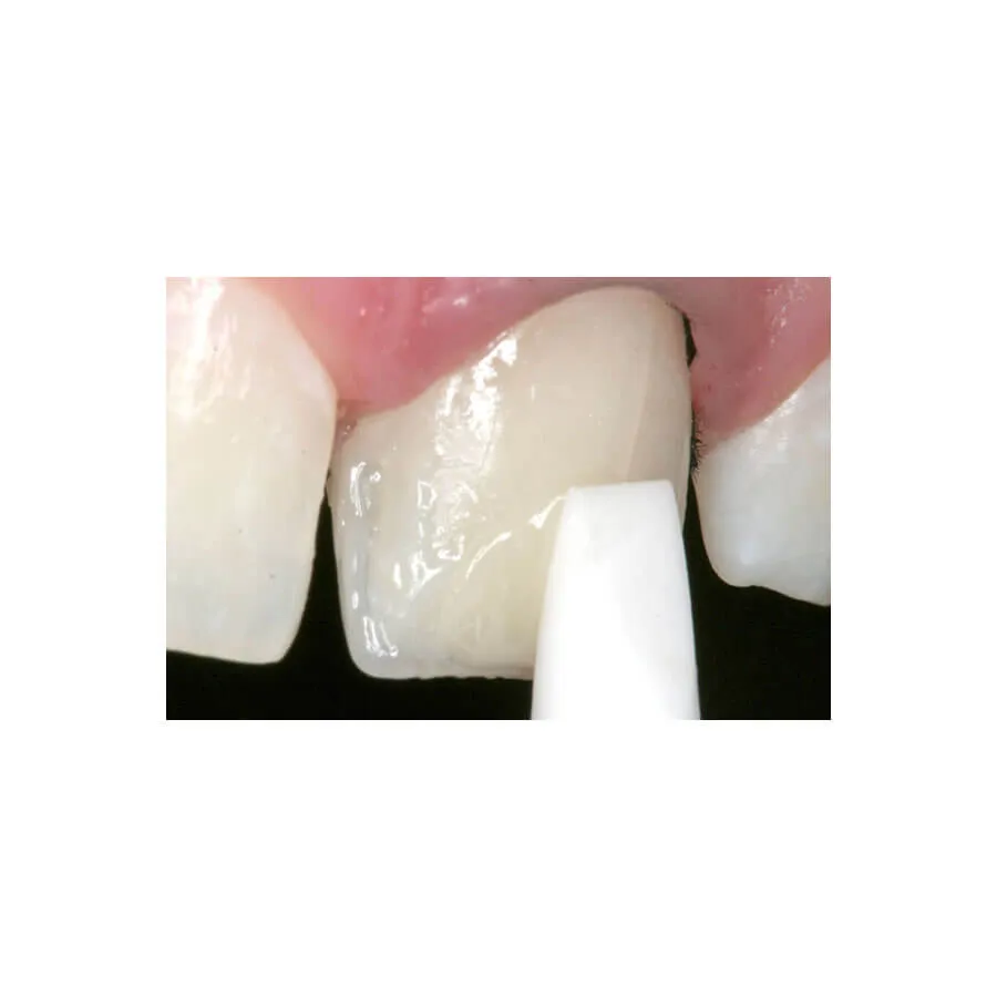 Esthetic Plus, Silicone Brushes for Composites Shaping, PK/2 + 8 Tips