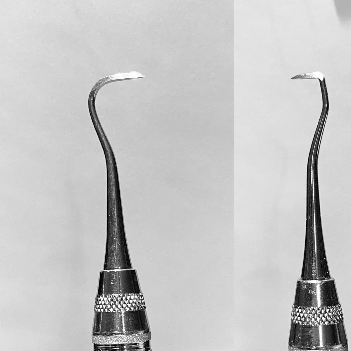 Scaler Jacquette #5/33, Handle #6