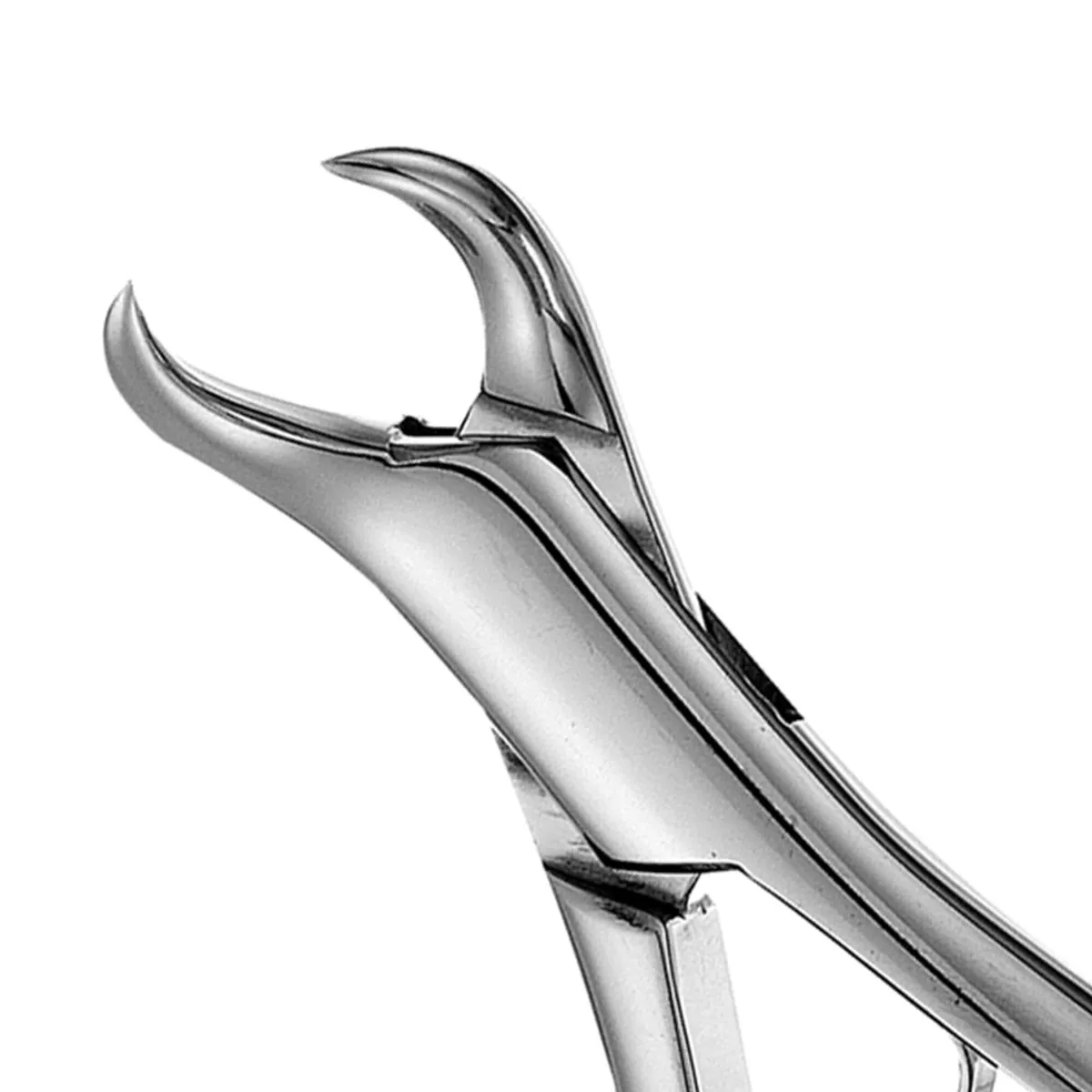 Pedo Lower Molars Cowhorn Forceps #23K
