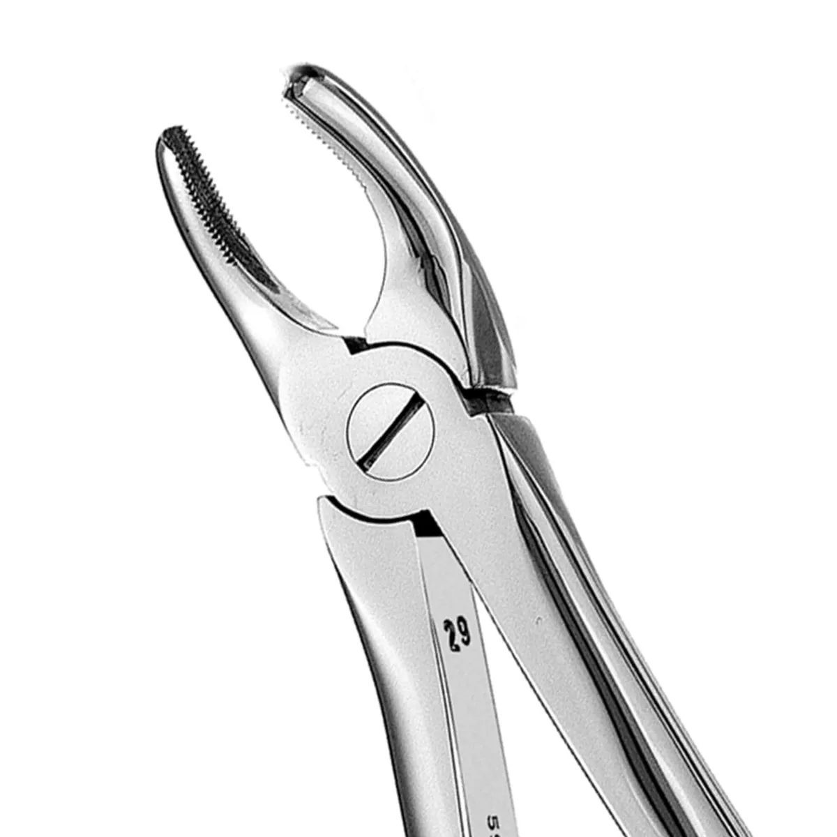 Upper Left Molars Extraction Forceps #18