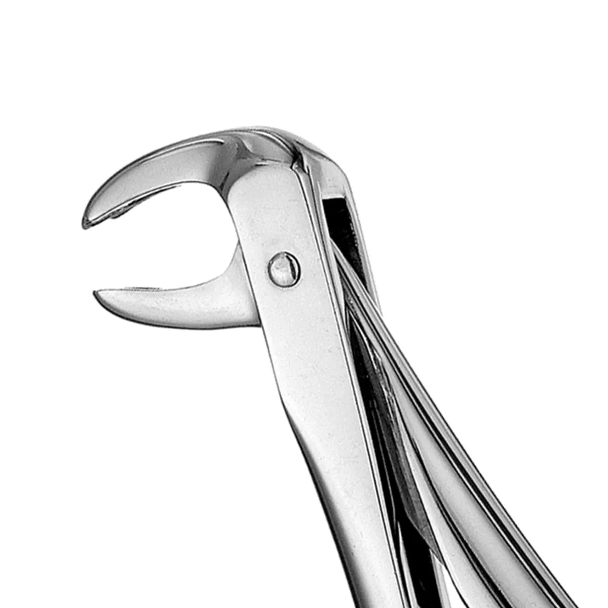 Lower Molars Forceps #73