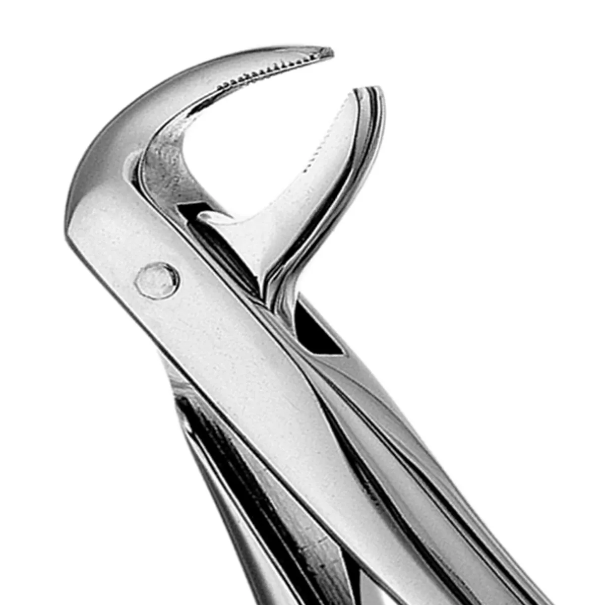 Lower Roots Forceps #74