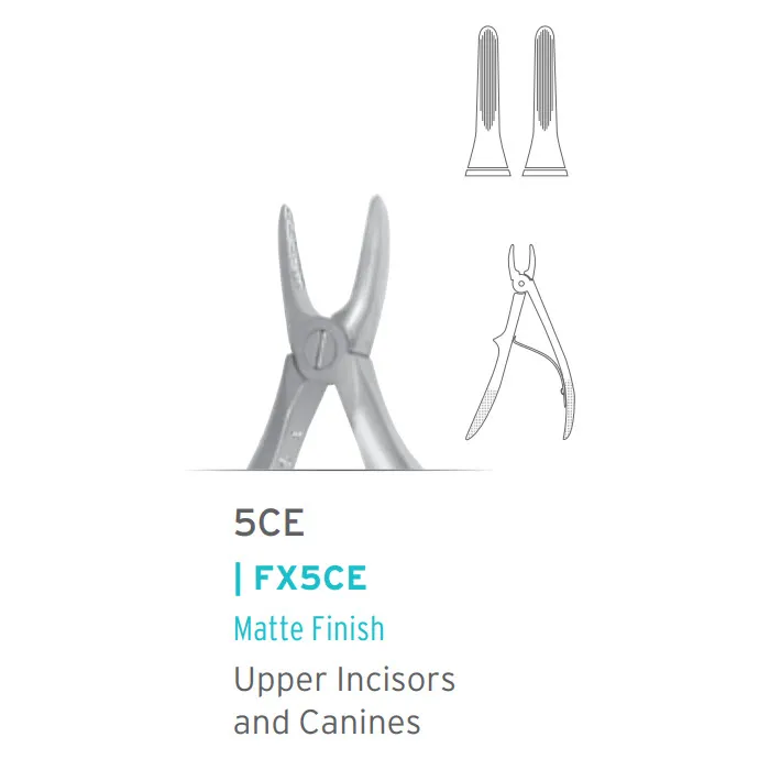 European Style Pedo Forceps #5 (Knurled Handle)