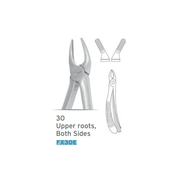 European Style Forceps #30