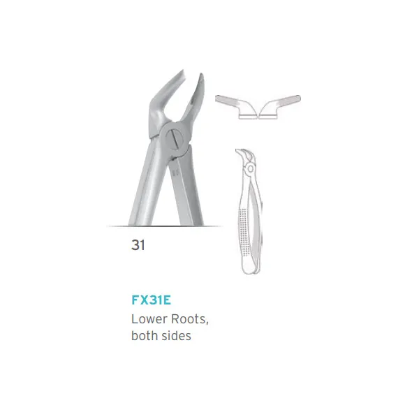 European Style Forceps #31
