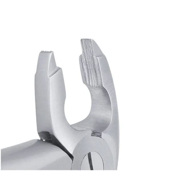 European Style Forceps #36