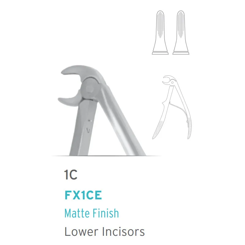 European Style Pedo Forceps #1C