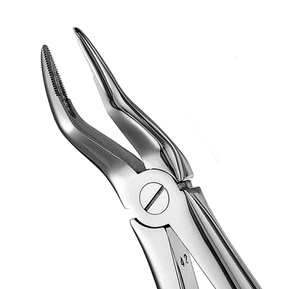 Upper Roots Forceps #51
