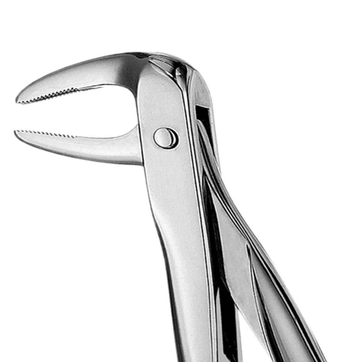 Lower Roots Forceps #74N