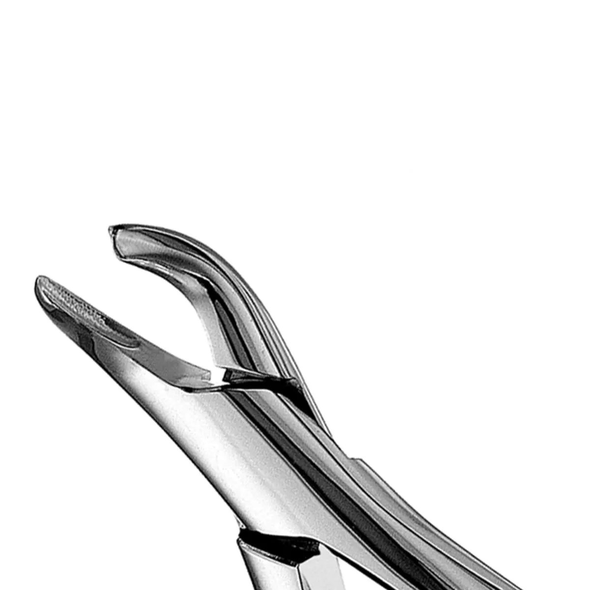 Pedo Extraction Forceps #151S