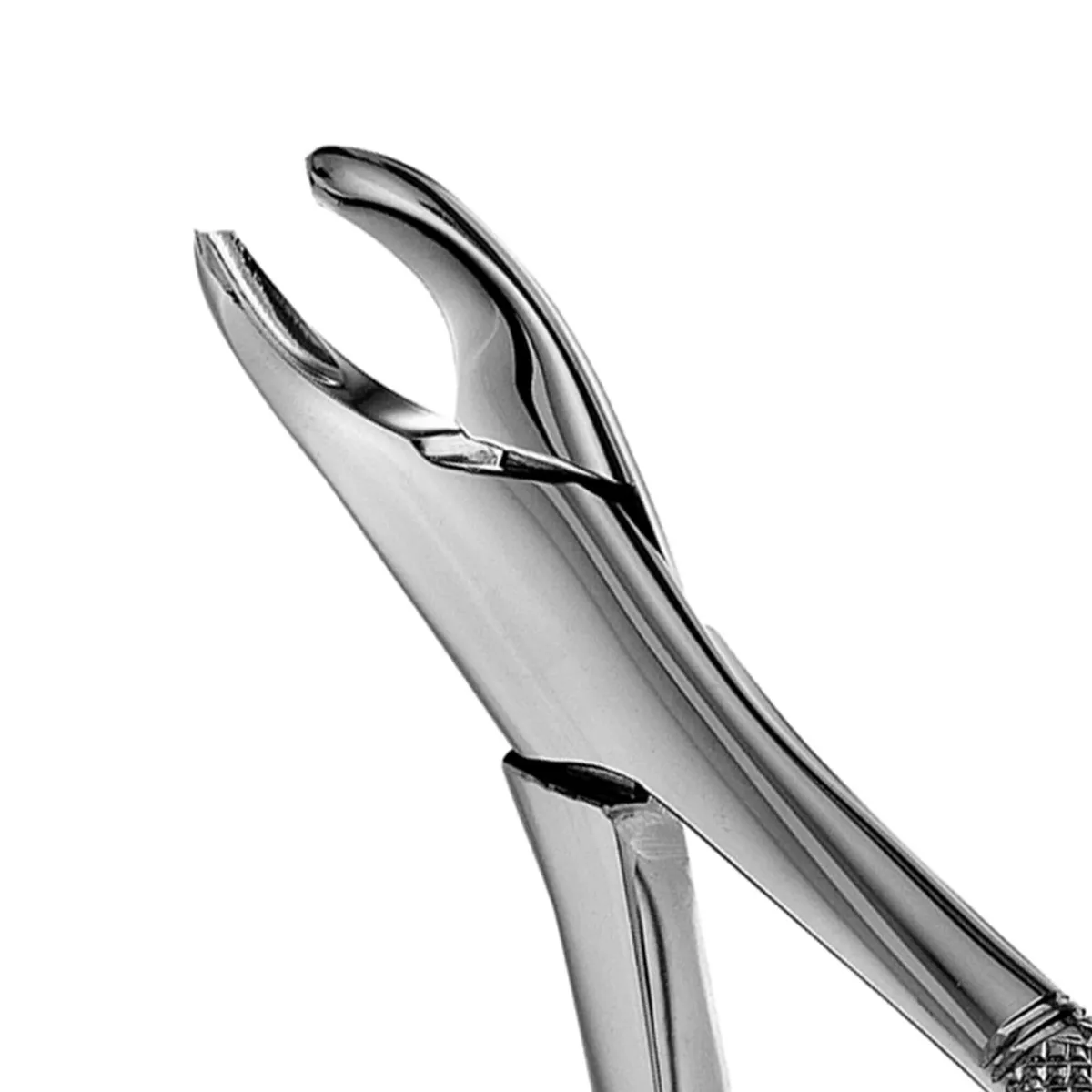 Harris Forceps, Thumb Hook Right Beak #18R