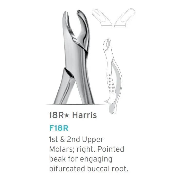 Harris Forceps, Thumb Hook Right Beak #18R