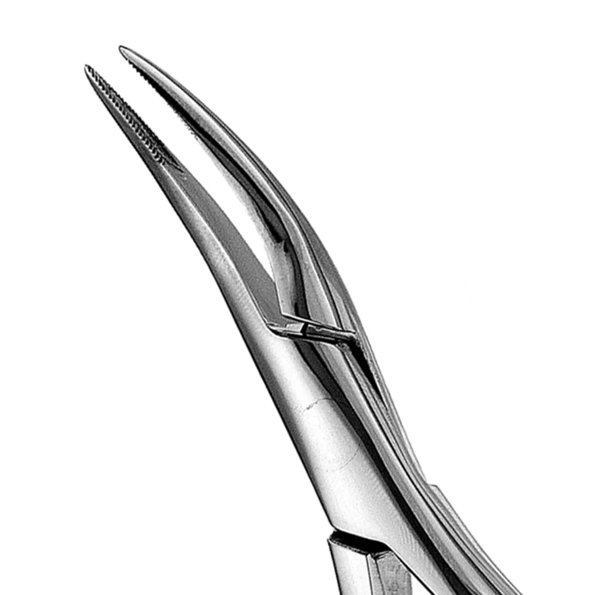 Upper Roots Extraction Forceps, Serrated #300