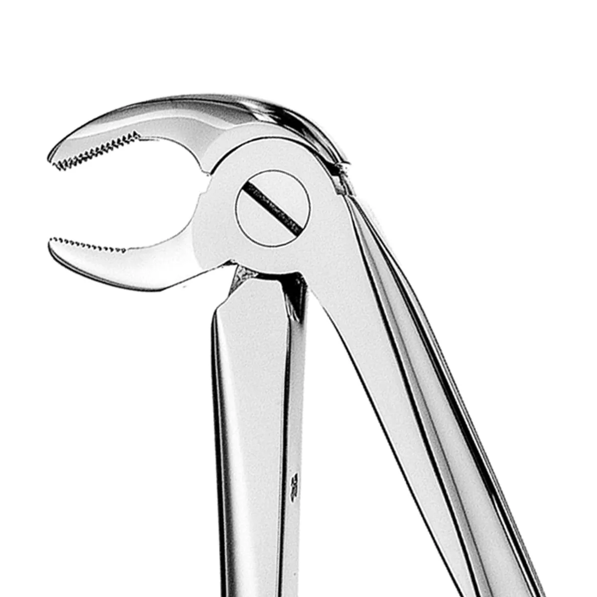 Lower Premolars Extraction Forceps #13