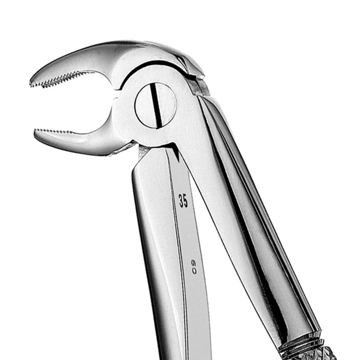 Lower Molars Forceps #22