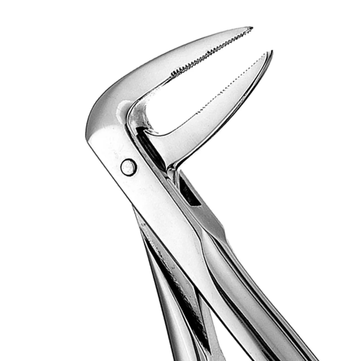 Lower Roots Forceps #233