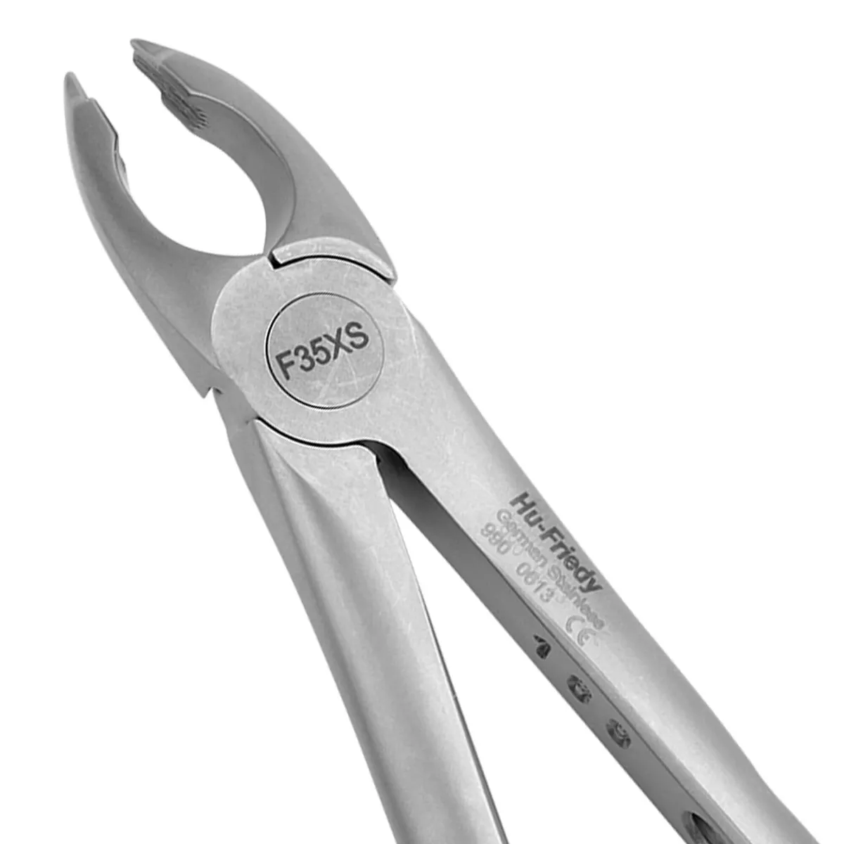 Upper Canines and Premolars Forceps, #35 Atraumair