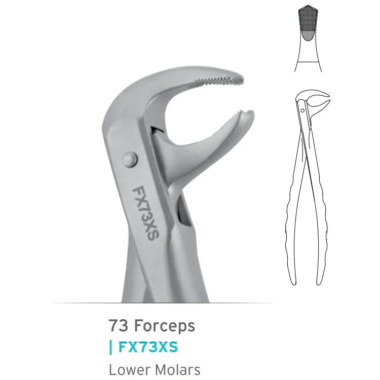 Lower Molars Forceps #73 Atraumair