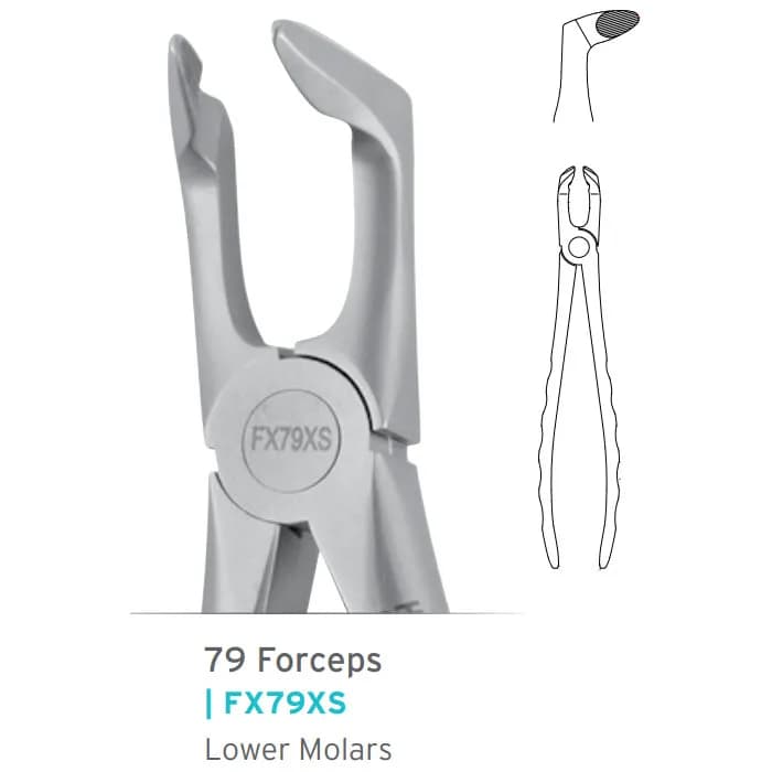 Lower Wisdom Forceps #79 Atraumair