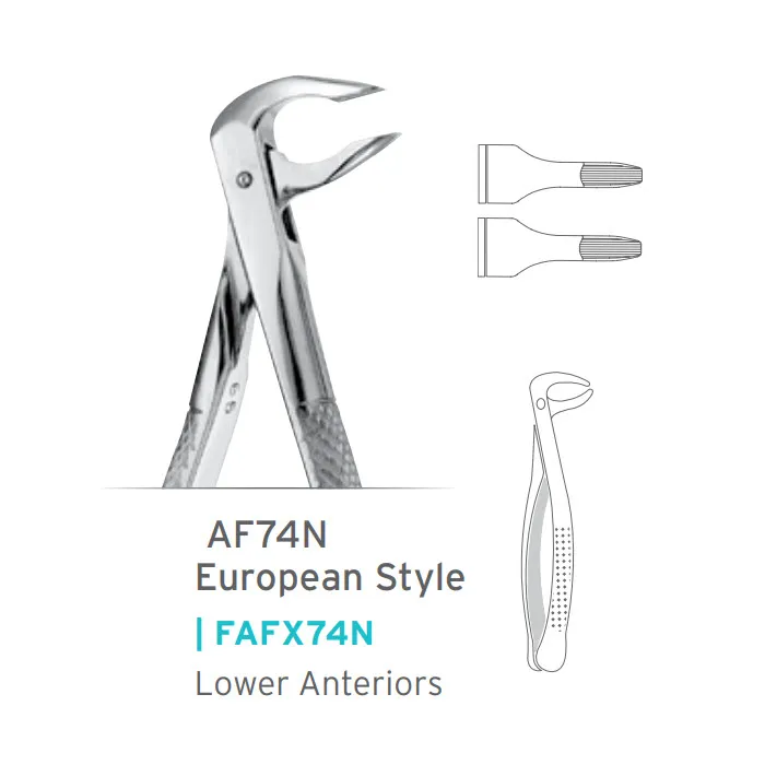 Apical Lower Anterior Inferior Forceps #X74N