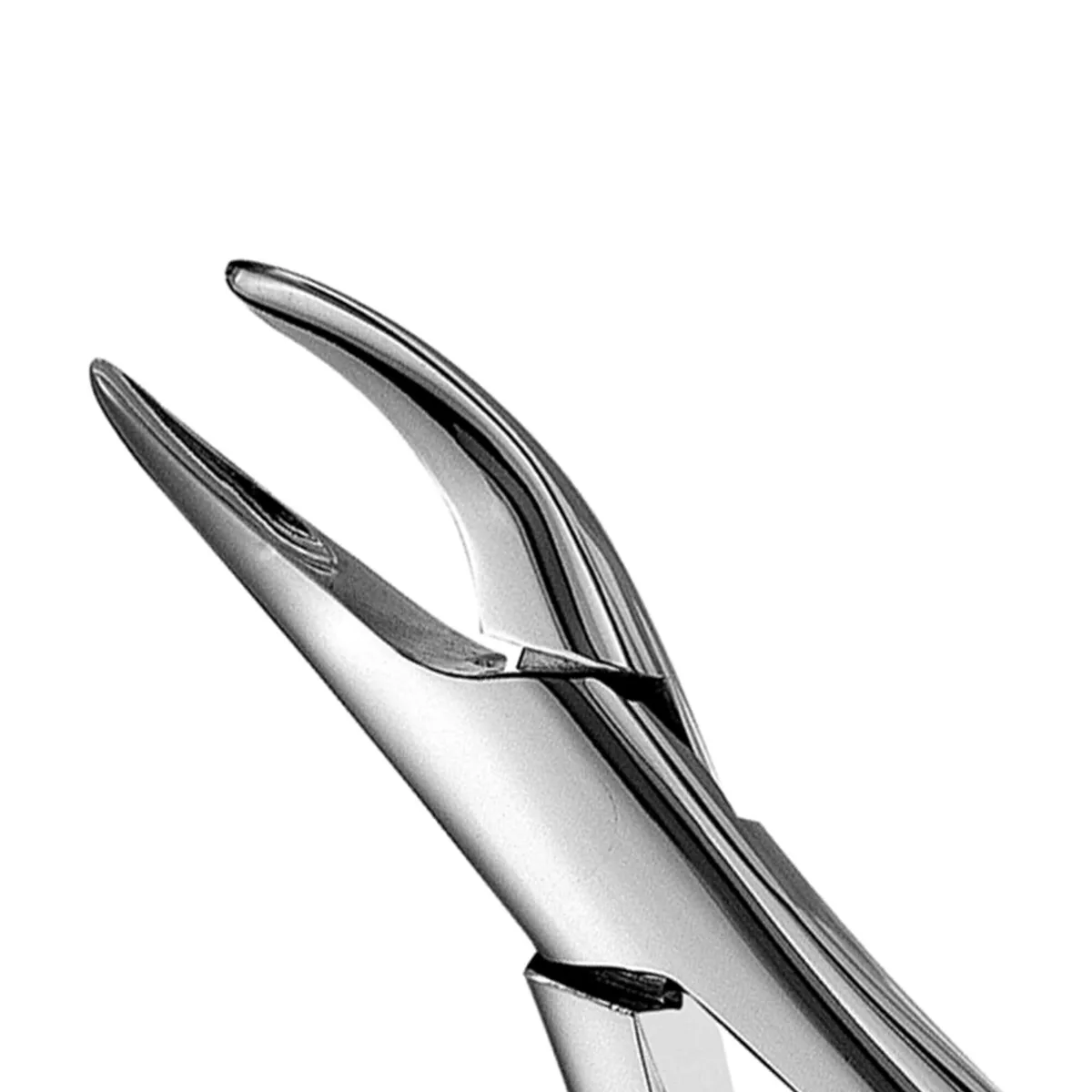 Upper and Lower Fragments and Roots Forceps #69