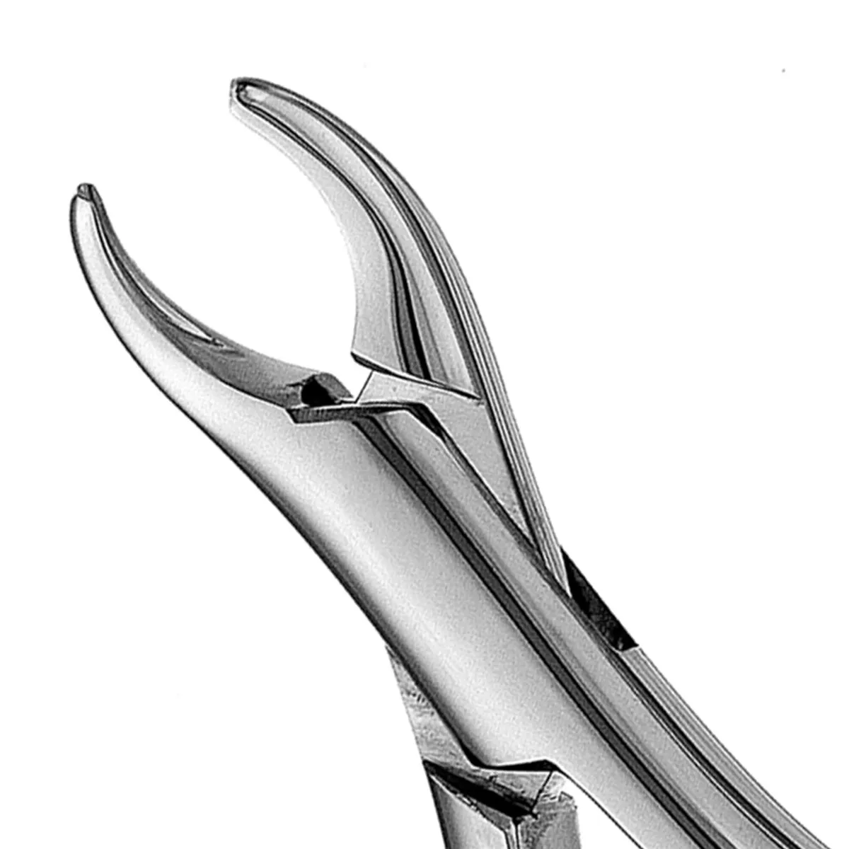 Pedo Extraction Forceps #150
