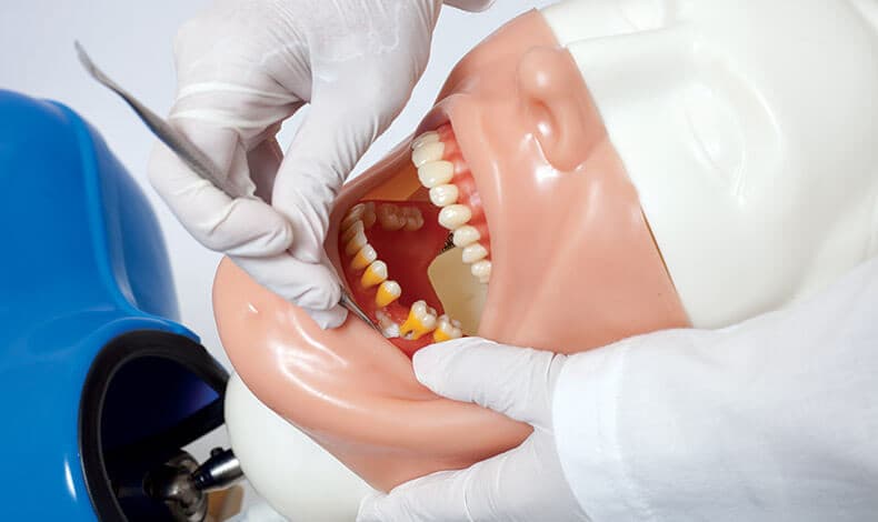 صورة المنتج