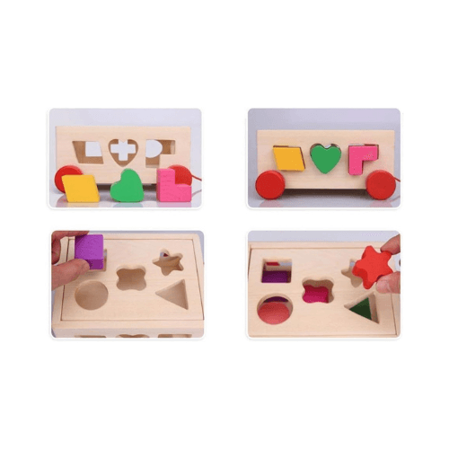 Wooden Cognitive Test Box