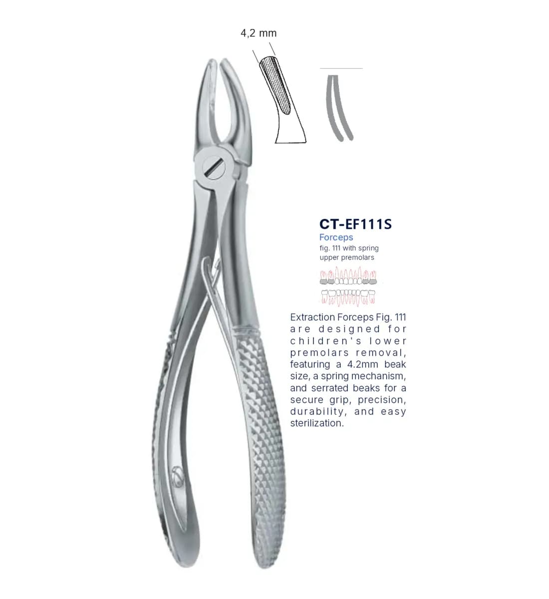 Dental Extraction Forceps 111, Standard Handle