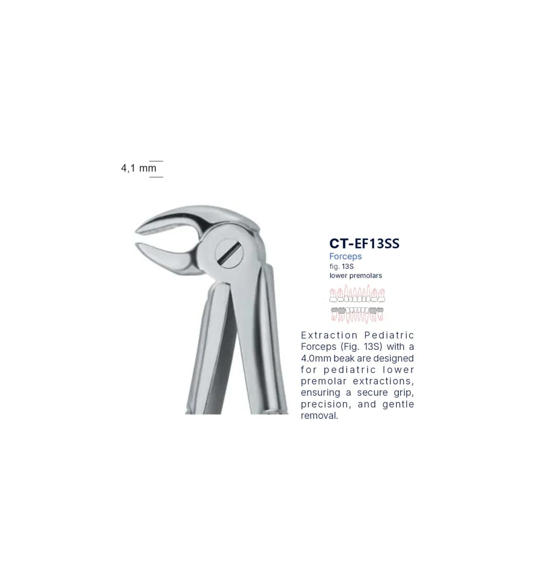Dental Extraction Forceps 13S, Standard Handle