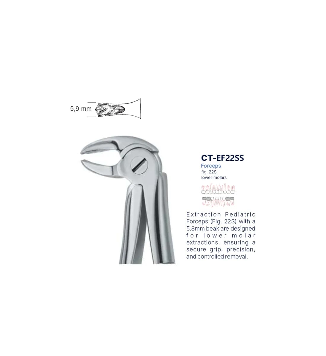 Dental Extraction Forceps 22S, Standard Handle