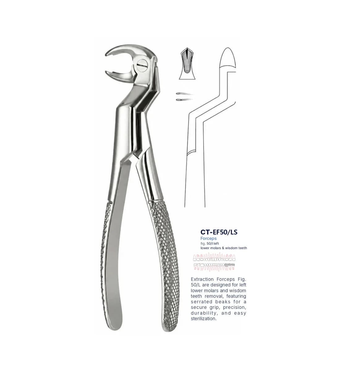 Dental Extraction Forceps 50L, Standard Handle