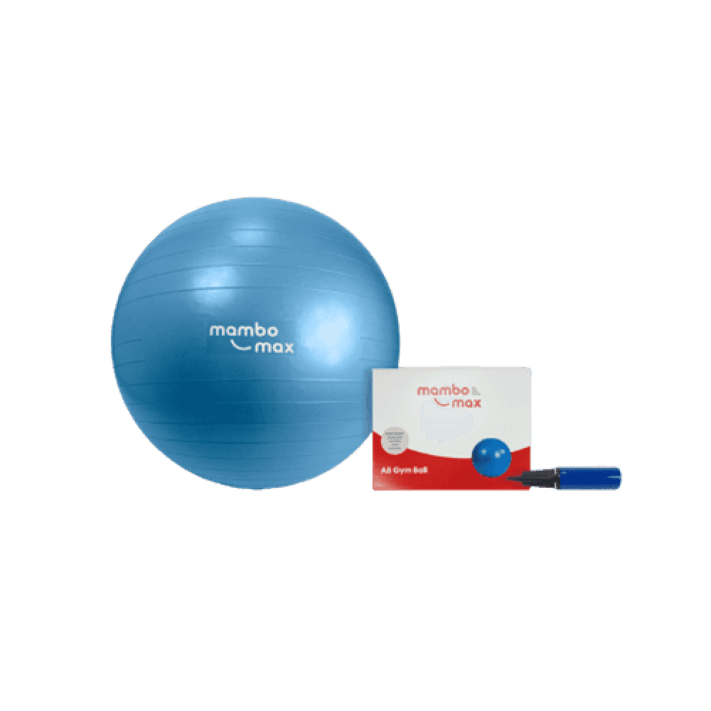 Mambo Exercise Ball