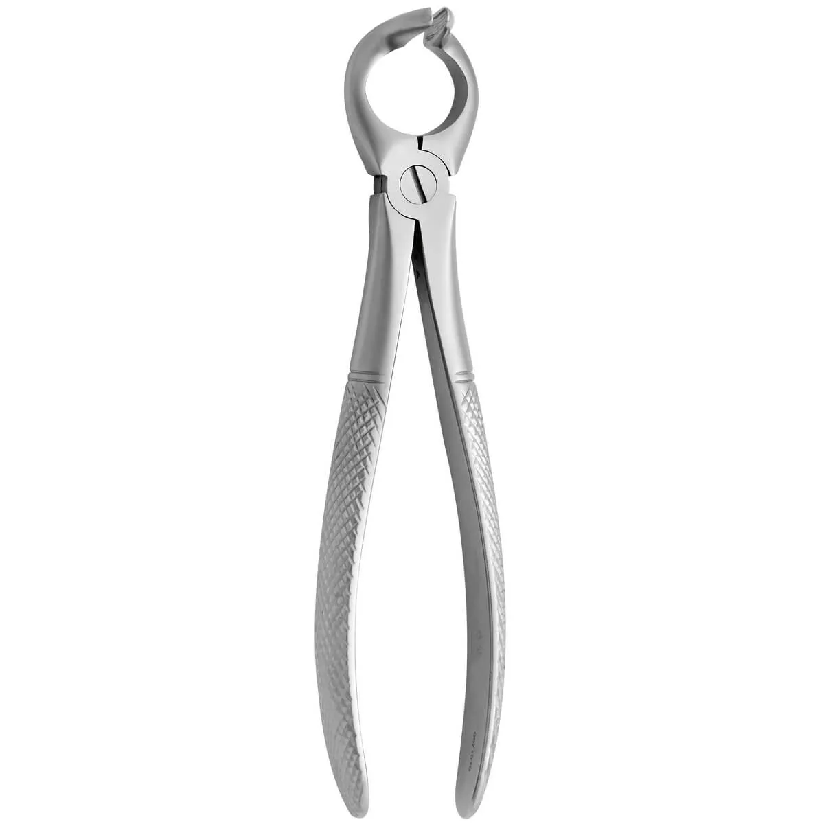 Tooth Forceps N.68
