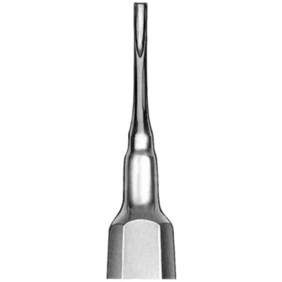 Root Elevator Coupland 3.6mm