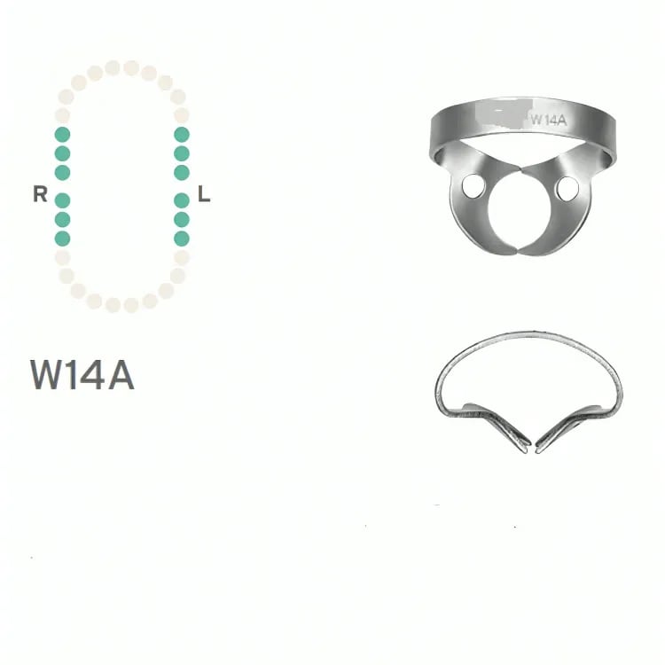 Rubber Dam Clamp #W14A, Wingless for Partially Erupted/Irregular Molars