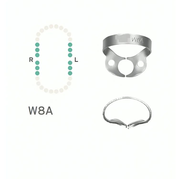 Rubber Dam Clamp #W8A, Wingless for Upper & Lower Molars